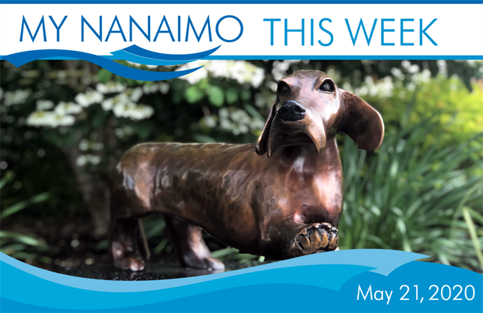 MyNanaimo-Header-May-21