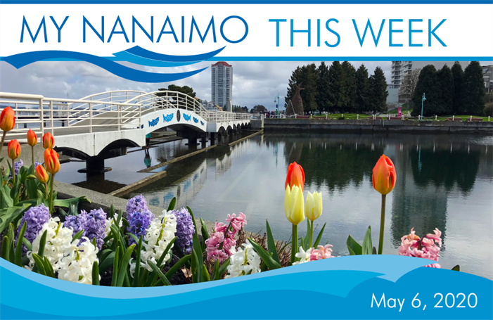 MyNanaimo-Header-May-6