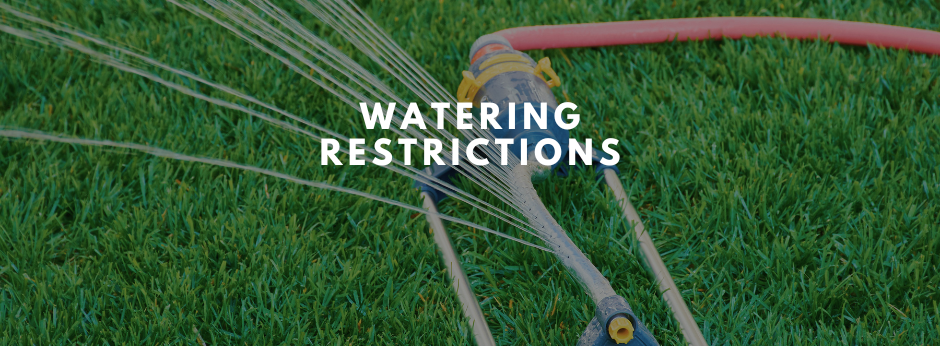 A sprinkler watering a green lawn with "watering restrictions" overlaid.
