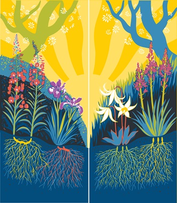 Banner Design, Roz MacLean, 2022