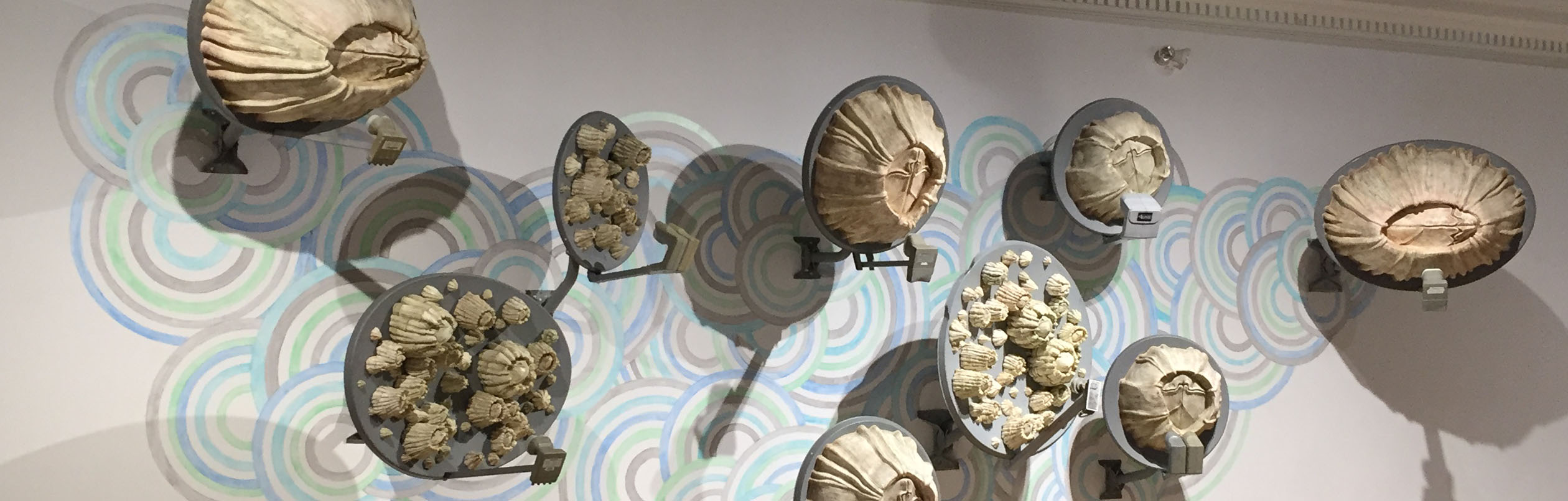 Cling by Twyla Exner