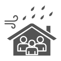 Emergency Services and Supports