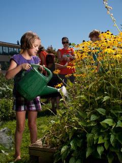 communitygarden_web