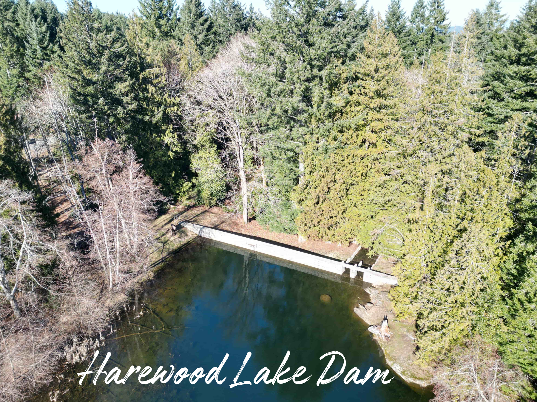 Harewood Lake Dam