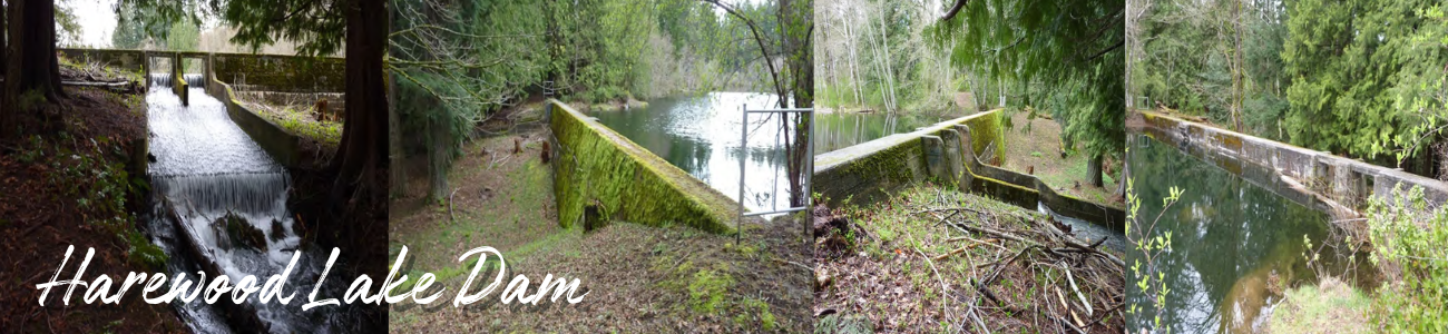 Harewood Lake Dam and Spillway