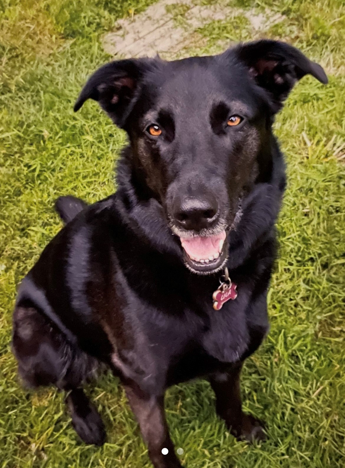 Lila