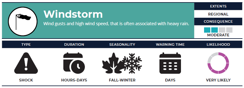 Windstorm Graphic