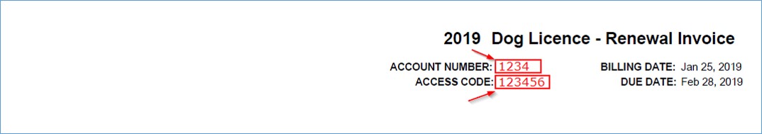 Example Dog Licence Renewal Notice