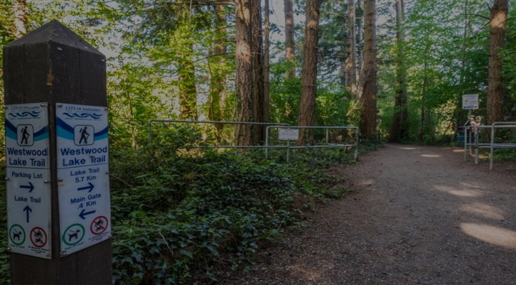 image of forest trail with link to learn more about parks and trails in Nanaimo online