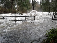 Fast-moving river water overflows its banks, covering the ground and surrounding trees with turbulent currents.