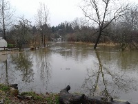 Pryde Avenue submerged in floodwater with leafless trees reflecting on the water's surface under a gray sky.