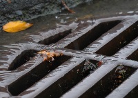 Yellow leaf and water trickling into a round storm drain.