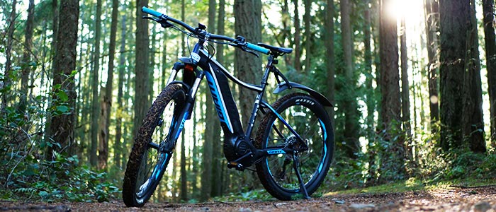 eBike in the woods