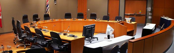 council-summary council-summary