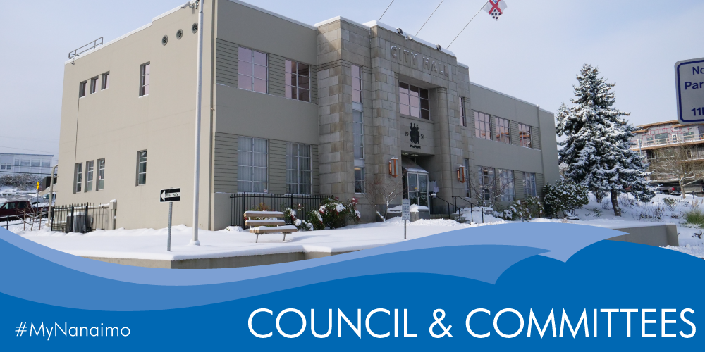 Council-and-Committees-City-hall-snow Council and Committees