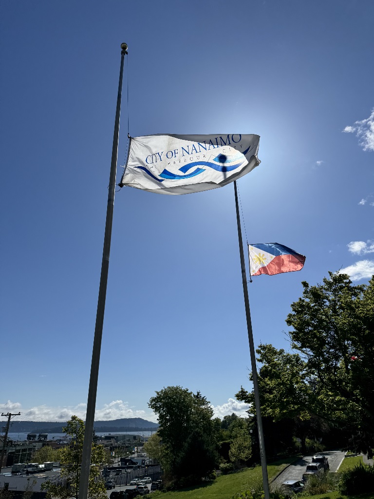 Flags at City Hall on the side near Franklyn Street