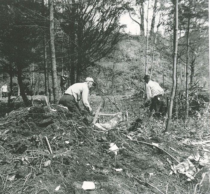 Bowen Park Rotary Project Clearing Bush 1953 Bowen Park Rotary Project Clearing Bush 1953