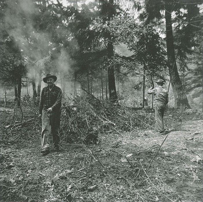 Bowen Park Rotary Project-Burning Brush 1953