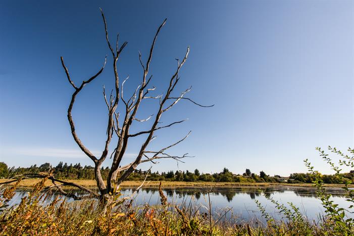 Buttertubs Marsh 1