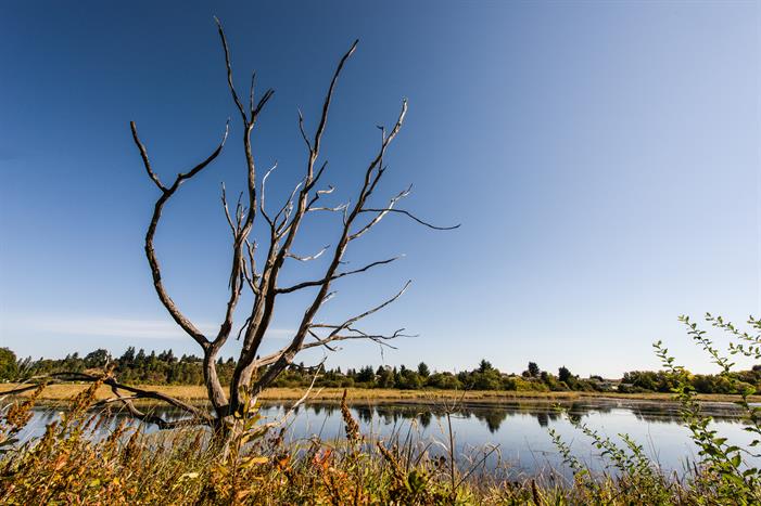 Buttertubs Marsh 1