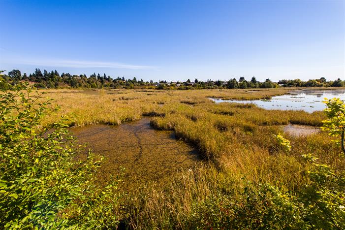 Buttertubs Marsh (3)