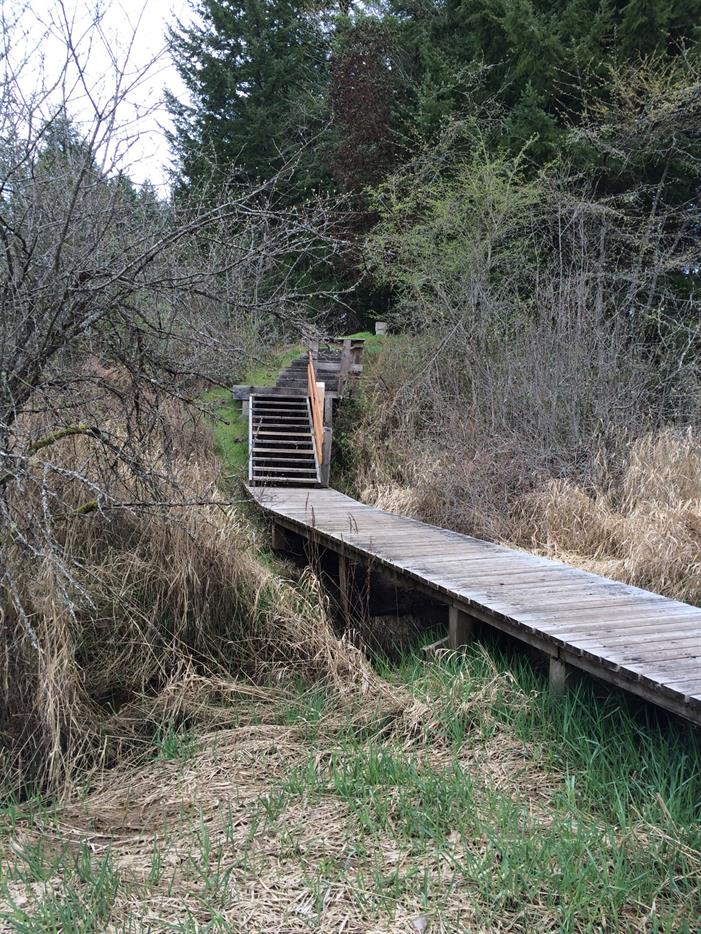 boardwalk1