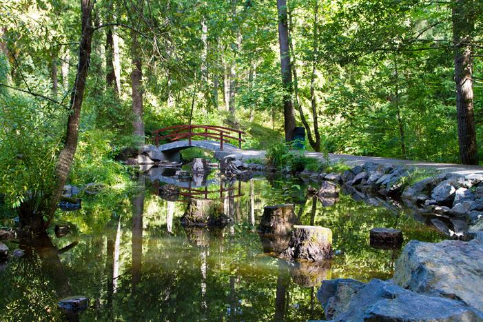 Bowen Park- Landscape 