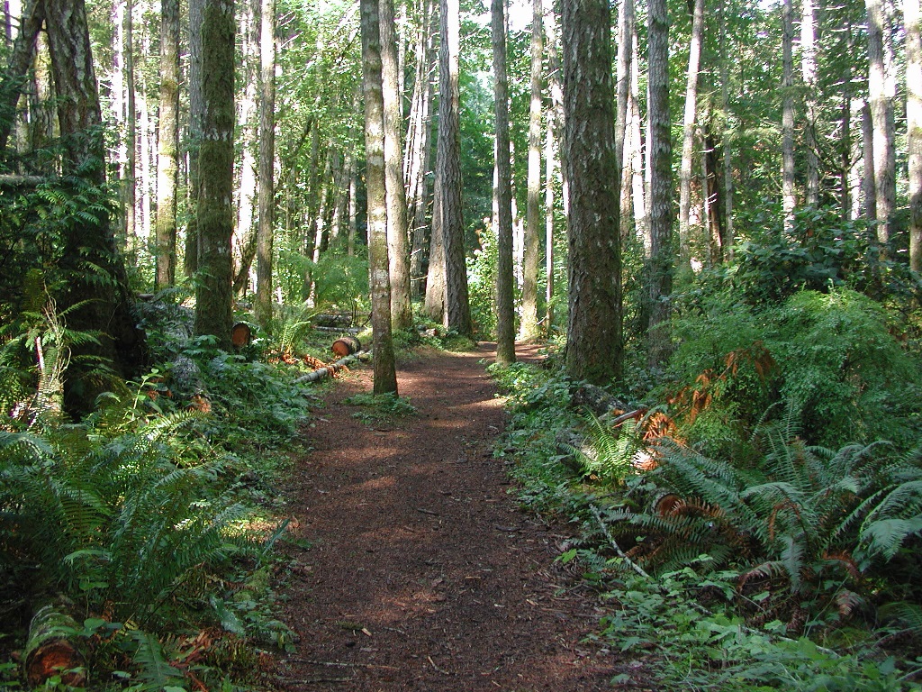 Bowen trail