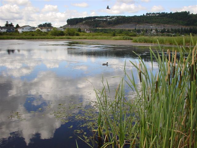 Buttertubs Marsh (2)