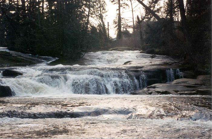 Deadman Falls in Bowen Park