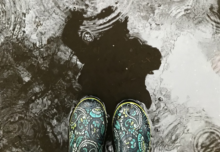 Fall Puddles alt=