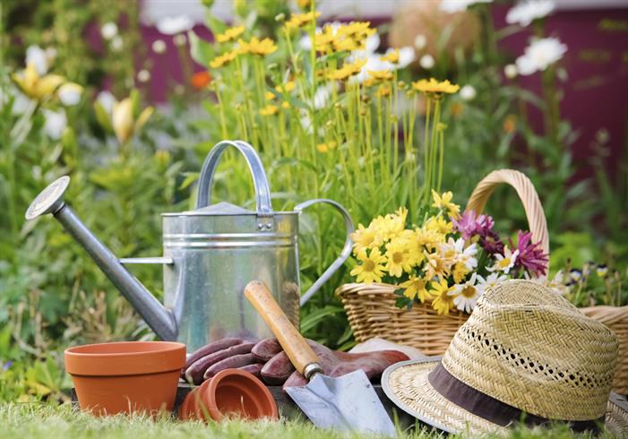 Gardening