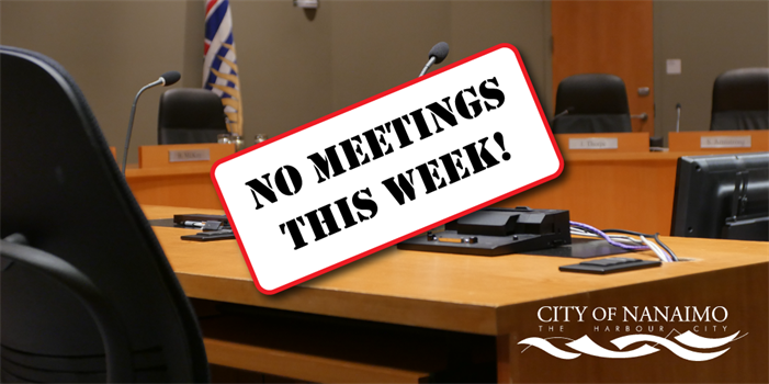 Council-no-meetings Council chambers image