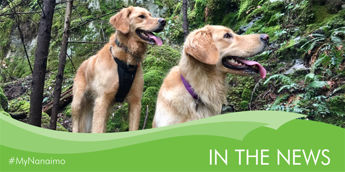In the News header image of dogs