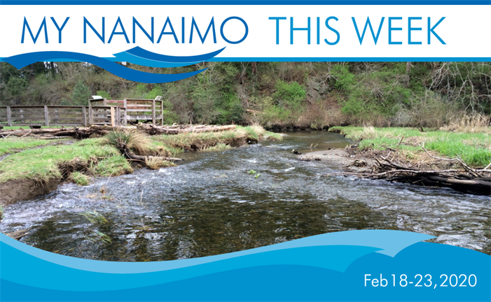 My Nanaimo This Week header image of Chase River Estuary