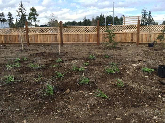 planting planting