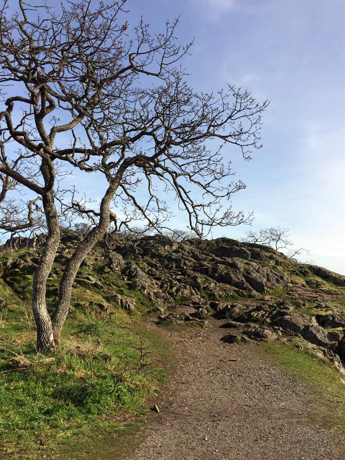 trailgarryoak
