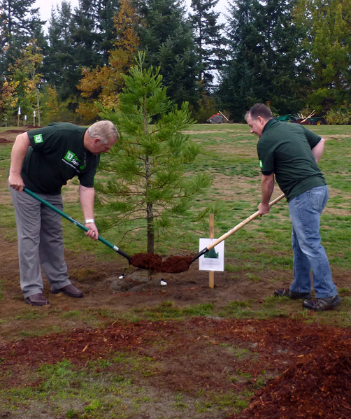 TreeMulching TreeMulching