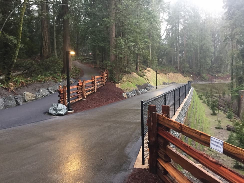photo of the trail