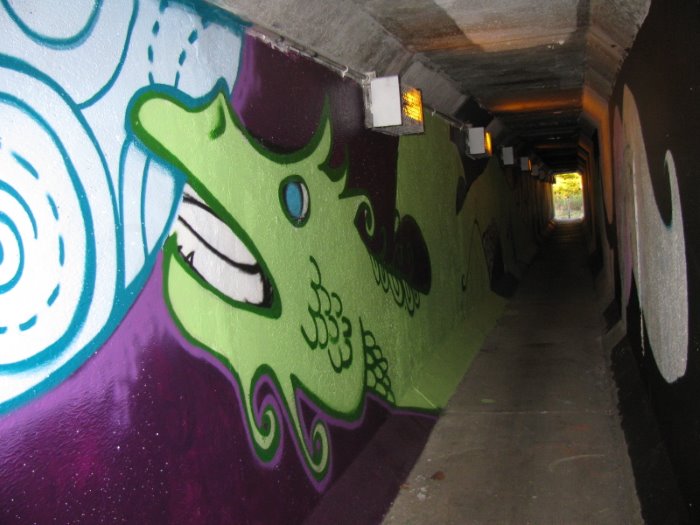 Parkway Tunnel Mural City of Nanaimo