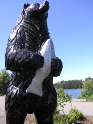Black Bear holding a Salmon